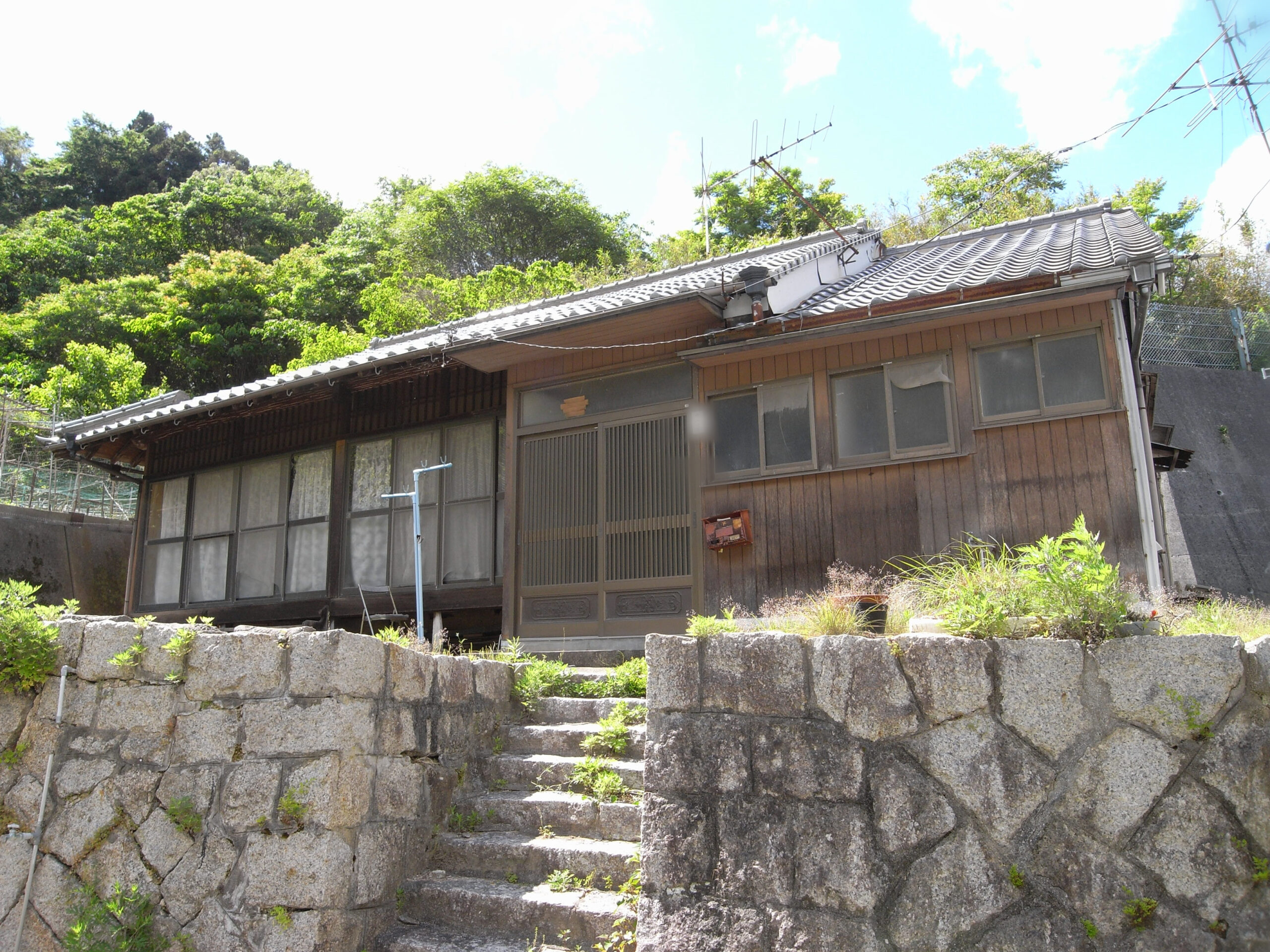 緑に囲まれた平屋の家